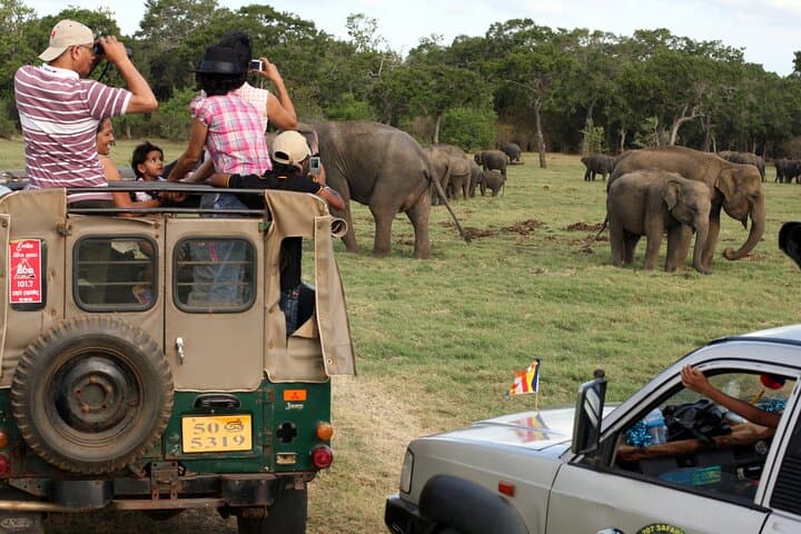 Sigiriya Lion Rock and Minneriya Elephant Safari: Day Trip from Colombo photo 4