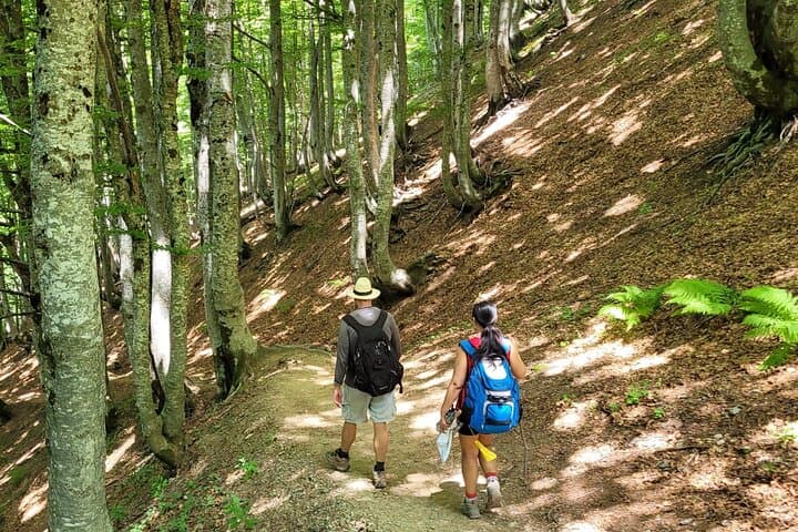3-Day Self-Guided Hike: Theth, Valbona & Komani Lake, Albania photo 4