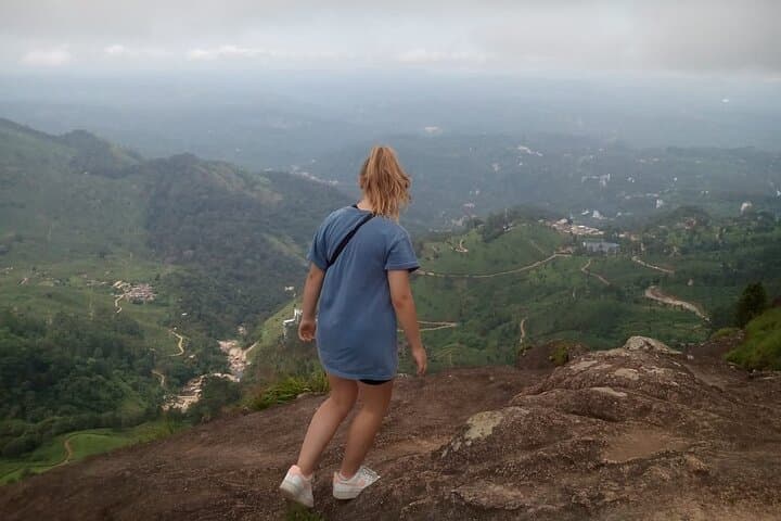 Lakshmi Hills Hike: Tea Plantations, Shola Forests & Munnar Views photo 2