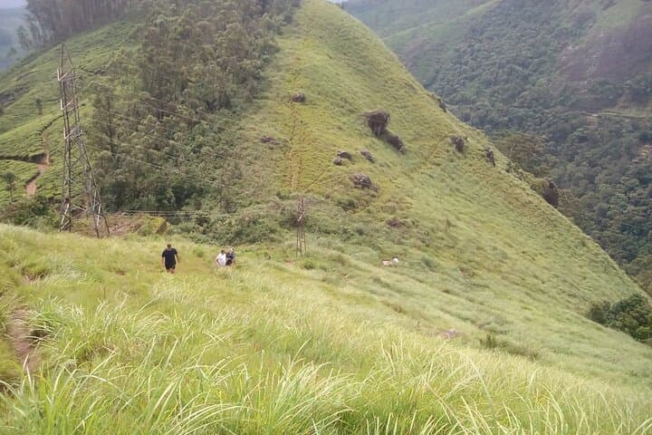 Lakshmi Hills Hike: Tea Plantations, Shola Forests & Munnar Views photo 4
