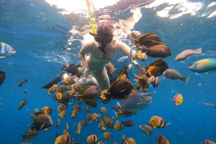 Snorkeling Nusa Penida: Manta Rays, Crystal Bay & Marine Walls from Bali photo 2