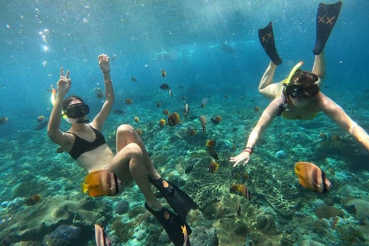 Snorkeling Nusa Penida: Manta Rays, Crystal Bay & Marine Walls from Bali photo 3