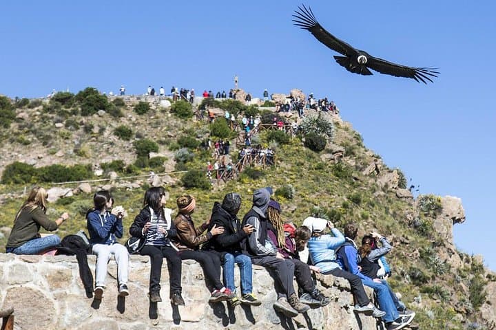Private Colca Canyon 2-Day Tour from Arequipa: Cruz del Condor & Hot Springs photo 1
