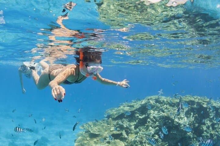 Hurghada Speedboat & Snorkel to Paradise Island: 4-Hour Private Tour photo 3