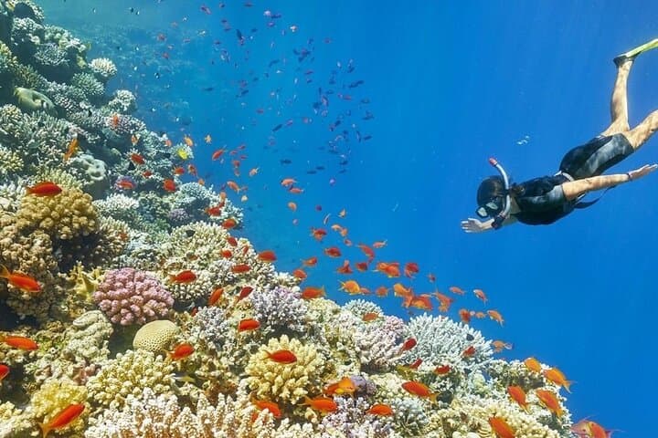 Hurghada Sunrise Quad Biking and Giftun Island Snorkeling Adventure photo 3