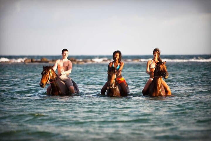 Horseback Riding and Bamboo Rafting in Ocho Rios: Rainforest Trails to Ocean Gallops photo 3