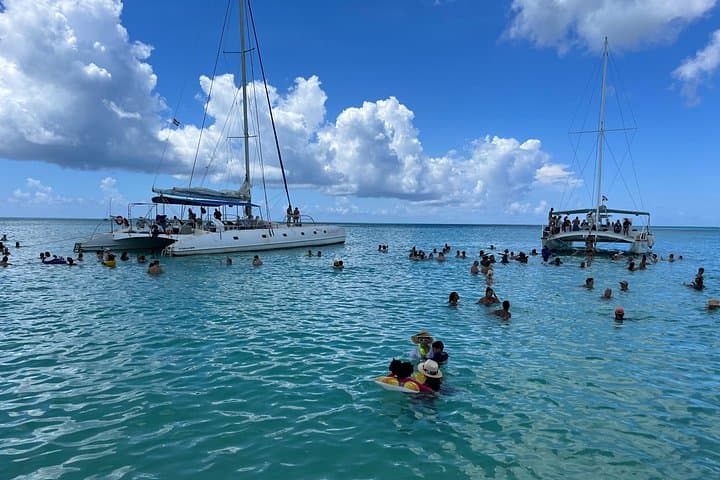 Saona Island Day Tour: Speedboat to Natural Pool, Pristine Beaches & Catamaran Return photo 4