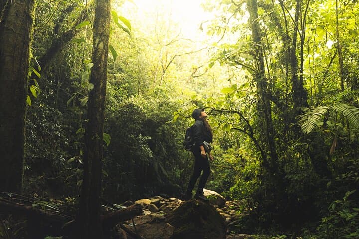 Hiking Medellín: Cloud-Forest Walk to Chorro de las Campanas Waterfall photo 2