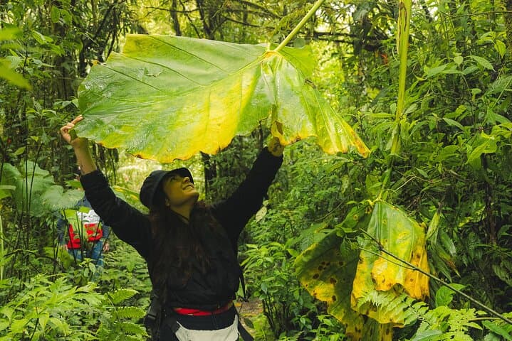 Hiking Medellín: Cloud-Forest Walk to Chorro de las Campanas Waterfall photo 3