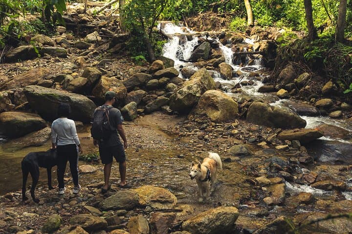 Hiking Medellín: Cloud-Forest Walk to Chorro de las Campanas Waterfall photo 5