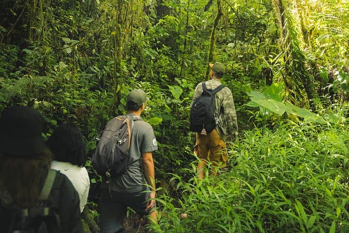 Hiking Medellín: Cloud-Forest Walk to Chorro de las Campanas Waterfall photo 6