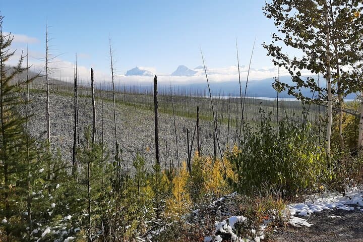 Guided Nature Walk in Glacier National Park: Lake McDonald & North Fork Explorer photo 3