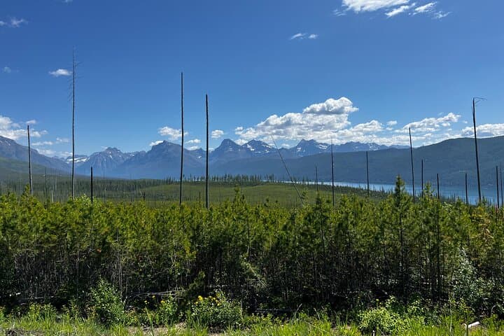 Guided Nature Walk in Glacier National Park: Lake McDonald & North Fork Explorer photo 4