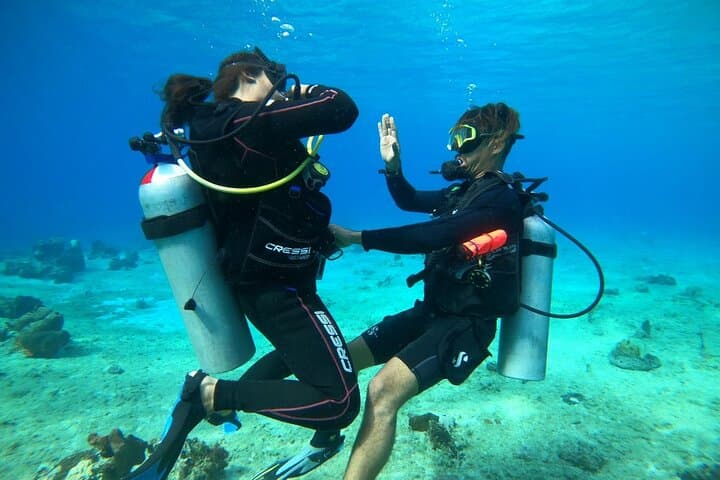 Introductory Scuba Diving in Cozumel Reefs: Guided Two-Dive Experience
