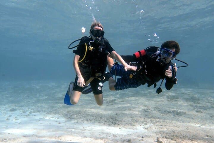Introductory Scuba Diving in Cozumel Reefs: Guided Two-Dive Experience photo 3