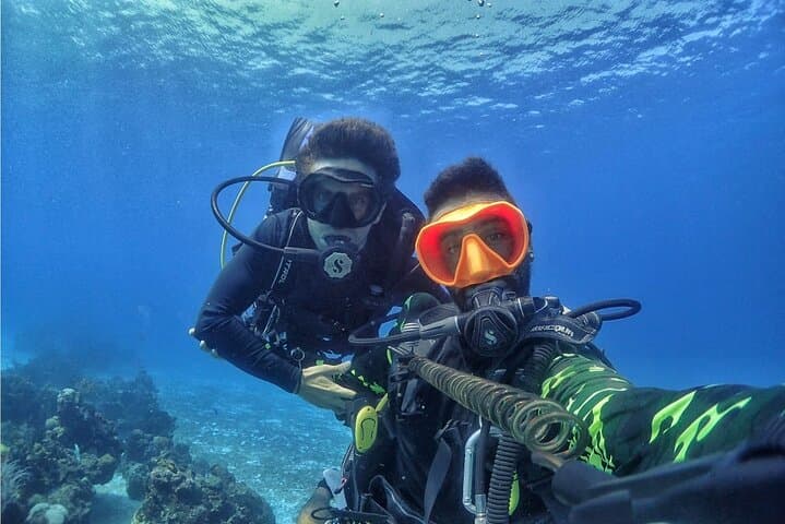 Introductory Scuba Diving in Cozumel Reefs: Guided Two-Dive Experience photo 5