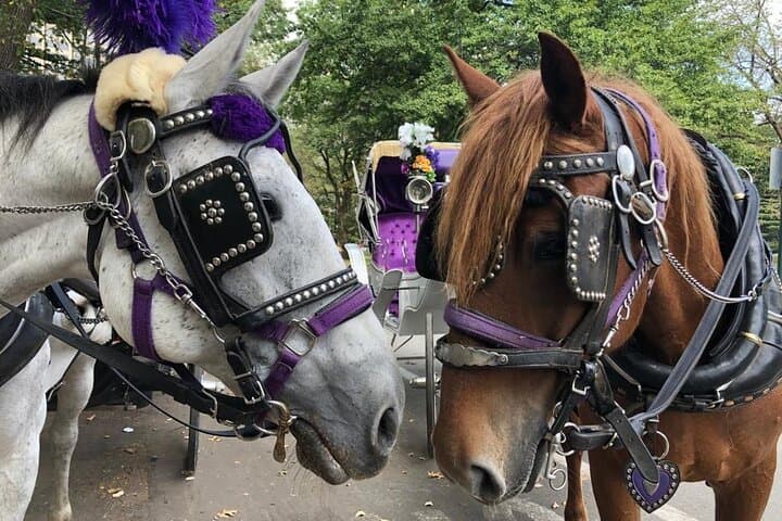 Central Park Private Horse Carriage Ride — Full Loop (45 Minutes)