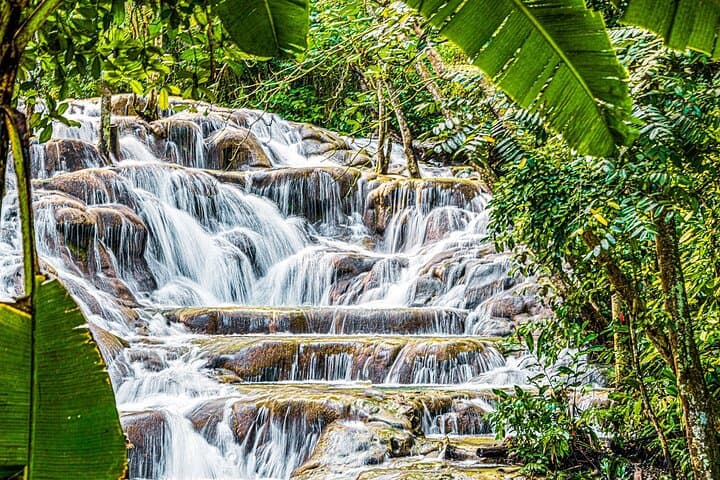 Climb Dunns River Falls and Horseback Ride into the Caribbean from Montego Bay photo 3