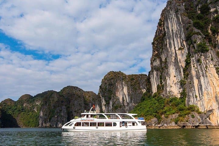Halong Bay Full-Day Cruise to Titop Island & Sung Sot Cave photo 2