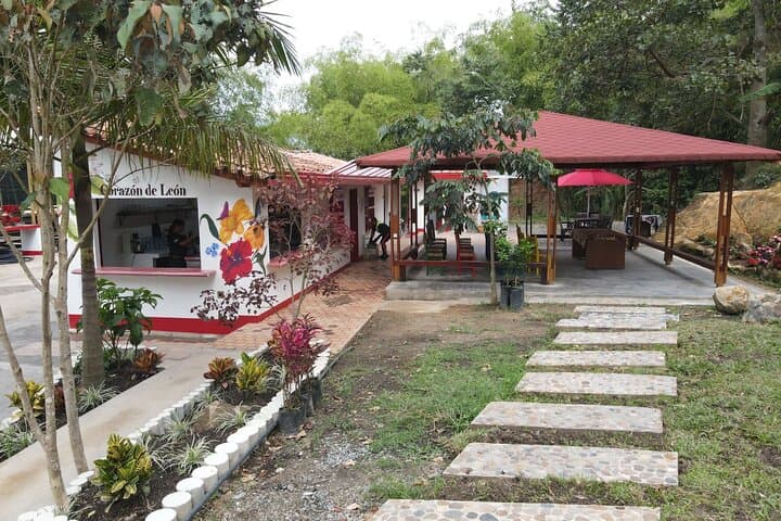Half-Day Coffee Farm Tour Near Medellín — From Seed to Cup photo 2