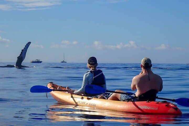 Kayak Whale Watching in Maui: Makena Landing Humpback Experience photo 6