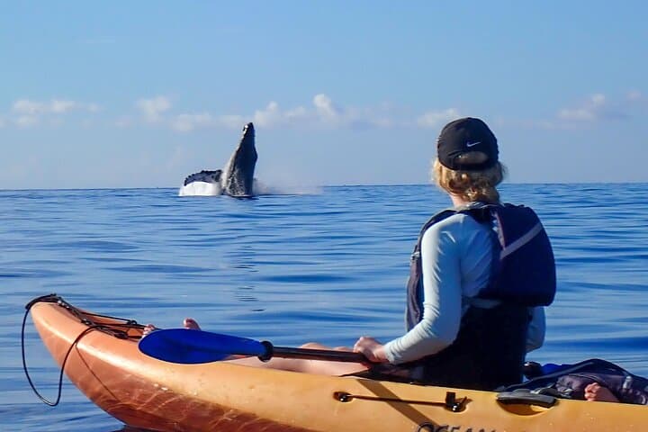 Kayak Whale Watching in Maui: Makena Landing Humpback Experience photo 3