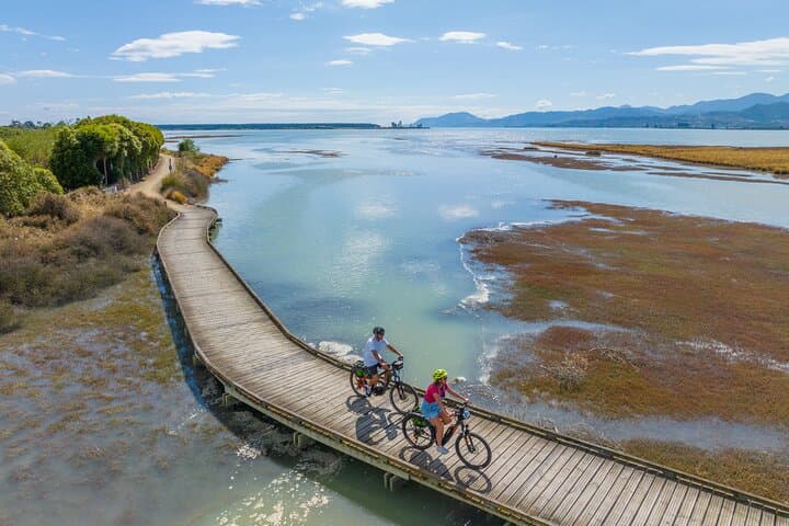 Great Taste Trail E-Bike Tour & Seifried Wine Tasting — Nelson