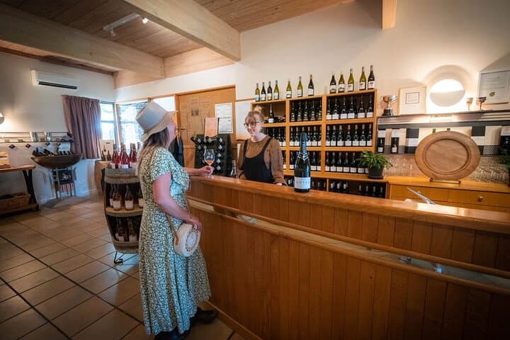 Great Taste Trail E-Bike Tour & Seifried Wine Tasting — Nelson photo 3