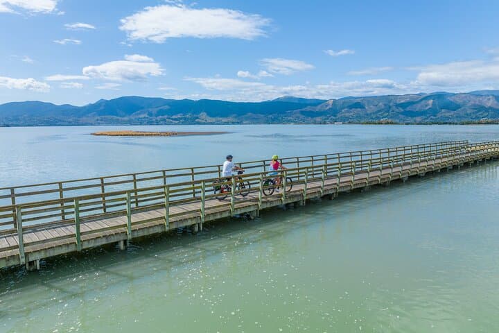 Great Taste Trail E-Bike Tour & Seifried Wine Tasting — Nelson photo 6
