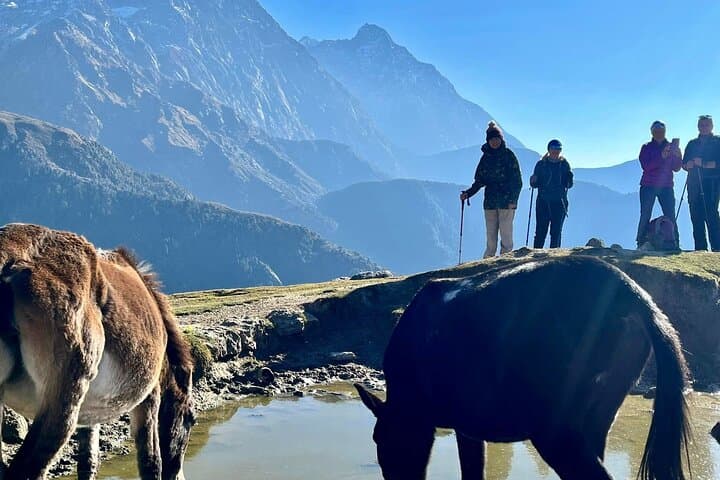 Dalai Lama Himalayan Trek — Dharamsala Multi-Day Trek to Snowline with Cultural Highlights photo 6