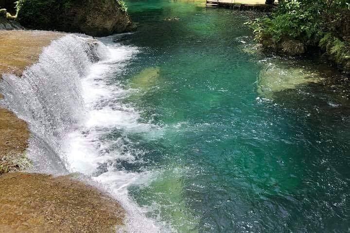 Half-Day Blue Lagoon & Eden on the River Tour from Port Vila photo 2