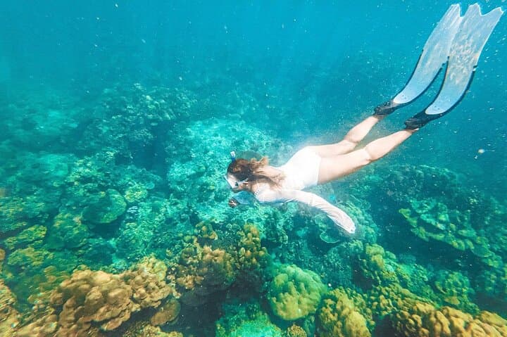 Phuket to Phi Phi & Maya Bay Full-Day Speedboat Tour with Lunch photo 4