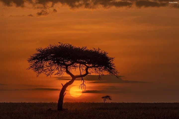9-Day Private Serengeti & Ngorongoro Photographic Safari photo 2