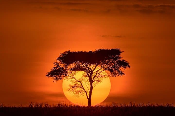 9-Day Private Serengeti & Ngorongoro Photographic Safari photo 3