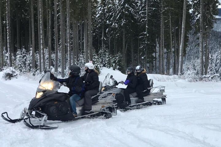 Carpathian Snowmobile Adventure: Full-Day Private Ride from Bucharest photo 2