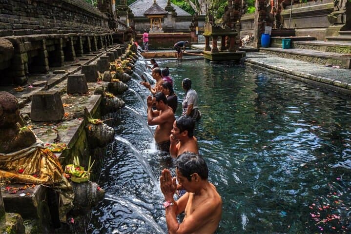 Ubud Day Tour: Monkey Forest, Tegalalang Rice Terraces, Tirta Empul & Waterfall photo 4