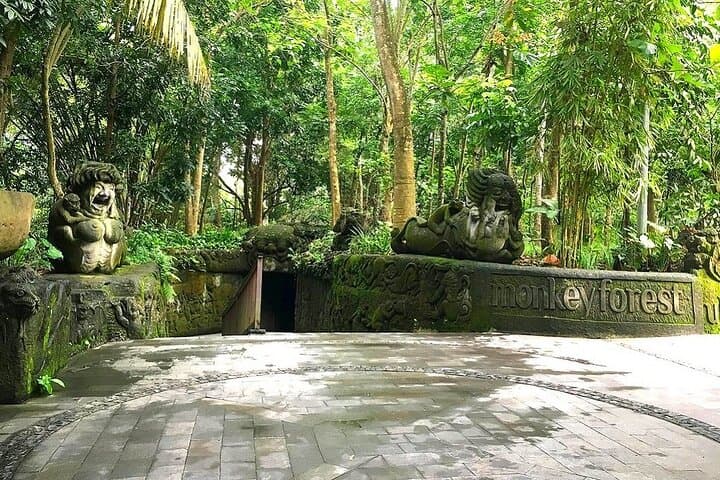 Ubud Day Tour: Monkey Forest, Tegalalang Rice Terraces, Tirta Empul & Waterfall photo 6