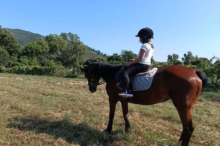 Children's Horseback Riding Near Pisa — Intro Lesson for Ages 3–8