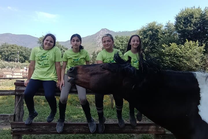 Children's Horseback Riding Near Pisa — Intro Lesson for Ages 3–8 photo 3