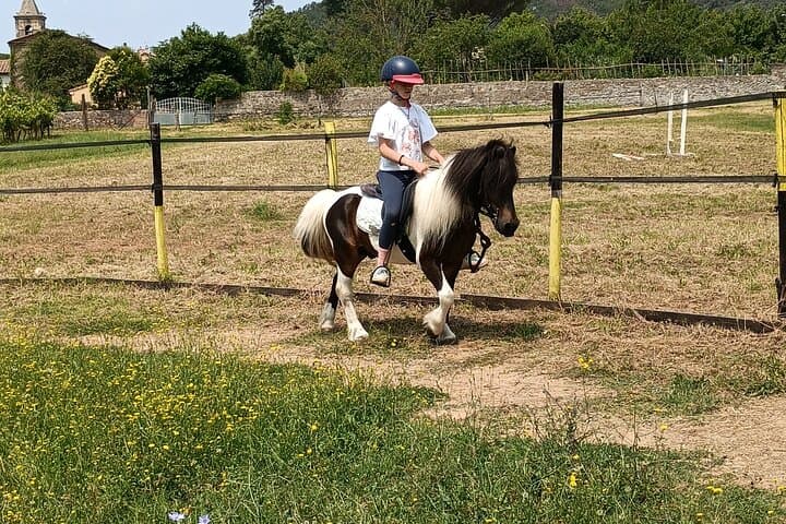 Children's Horseback Riding Near Pisa — Intro Lesson for Ages 3–8 photo 4