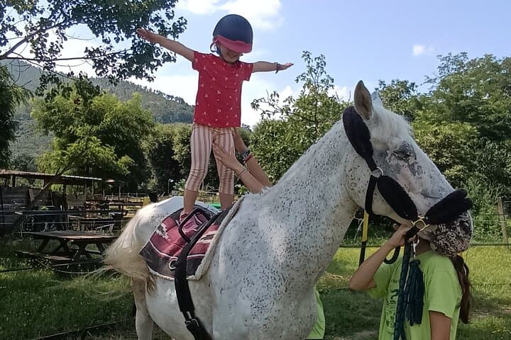 Children's Horseback Riding Near Pisa — Intro Lesson for Ages 3–8 photo 6