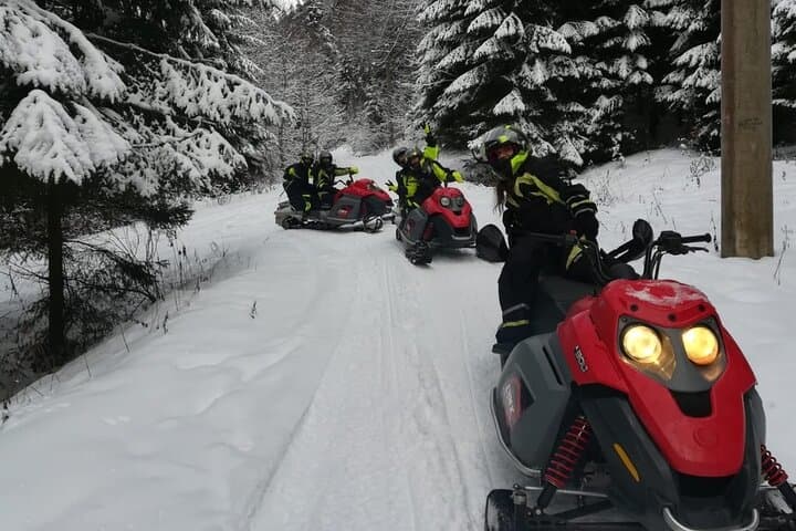 Carpathian Snowmobile Adventure: Full-Day Private Ride from Bucharest photo 4