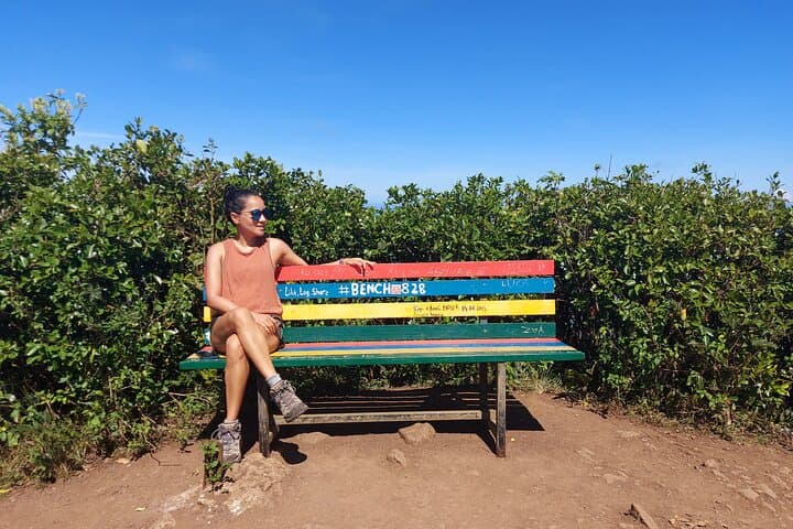 Black River Peak Guided Hike: Summit Mauritius' Highest Point photo 5