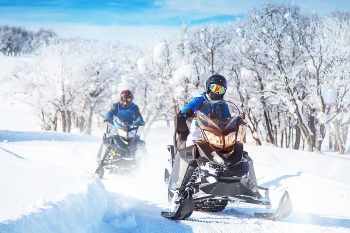 Carpathian Snowmobile Adventure: Full-Day Private Ride from Bucharest photo 6