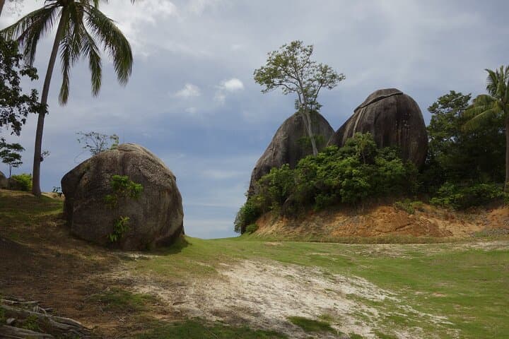Private Jungle Safari & Waterfall Full-Day Tour in Koh Samui photo 5