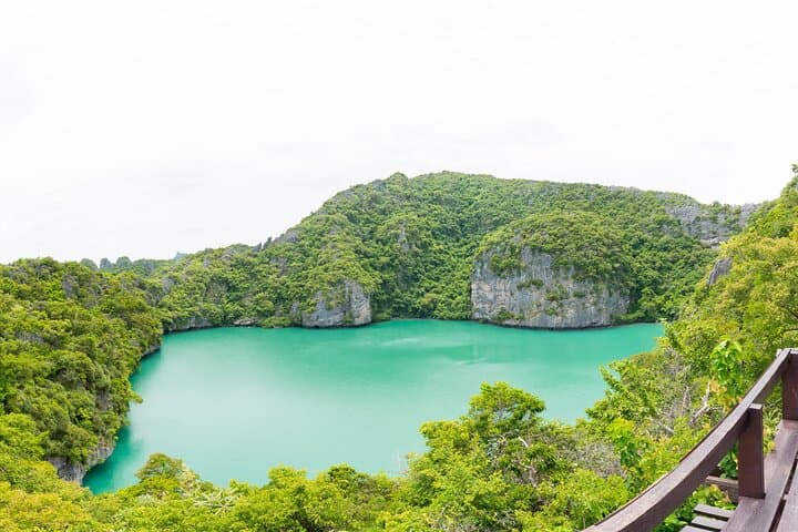 Private Jungle Safari & Waterfall Full-Day Tour in Koh Samui photo 6