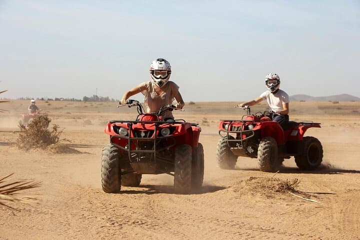 Dubai Evening Desert Safari with BBQ: Dune Bashing, Camel Rides & Live Shows