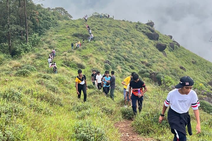 Lakshmi Hills Hike: Tea Plantations, Shola Forests & Munnar Views