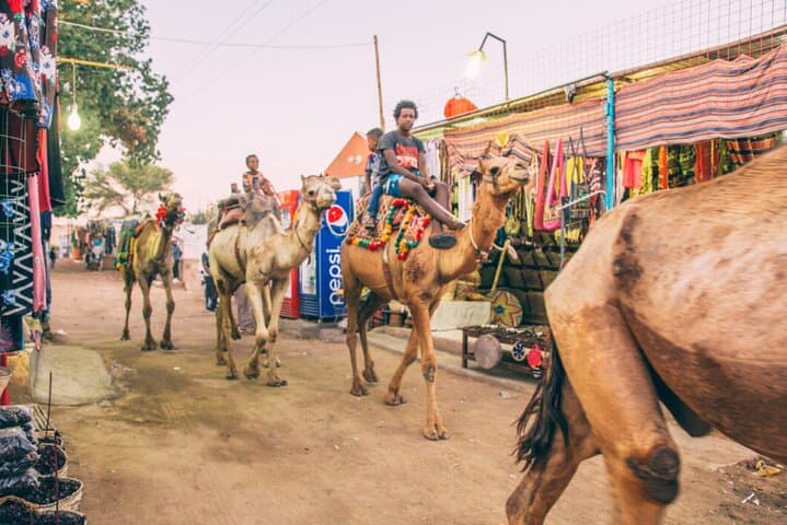 Aswan Camel Riding Adventure: Private West Bank Camel Safari & Nile Boat Ride photo 3