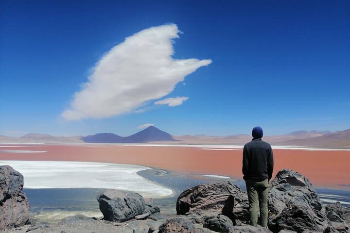 Red Lagoon & Lipez Full-Day Private Tour from Uyuni — Flamingos, Volcanoes, High-Altiplano Views